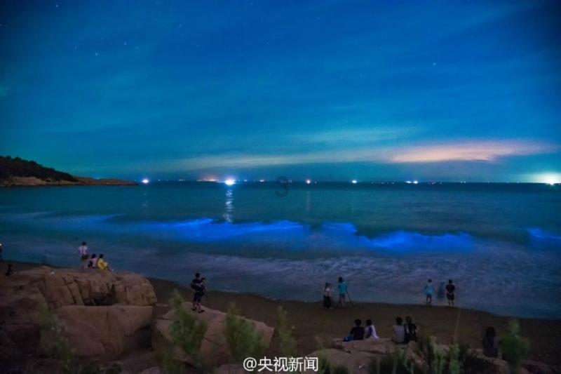 逃离泰莱森林