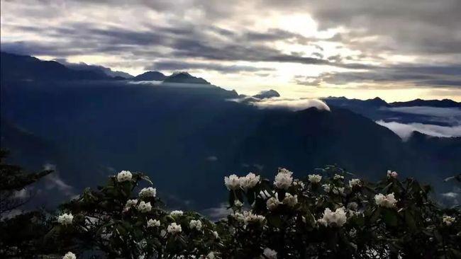 极限竞速地平线3