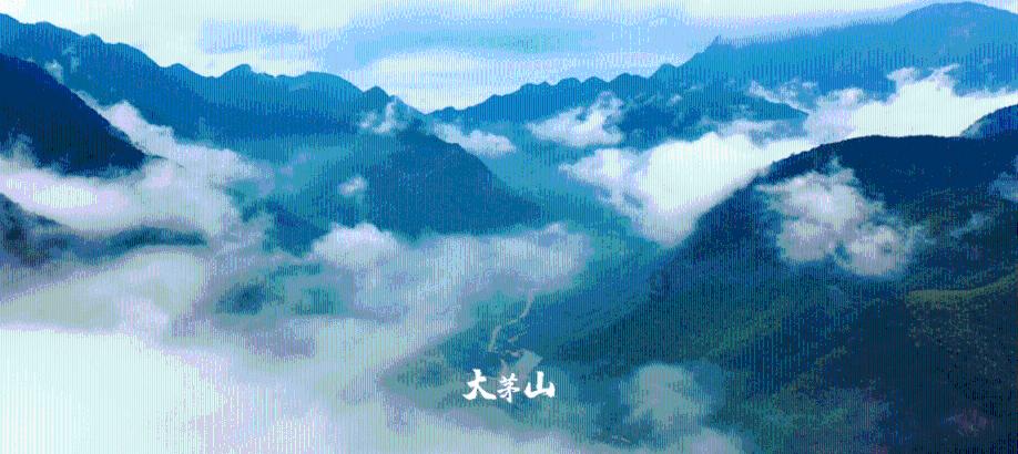 探索知识星球平台,尽览儿童保温杯要选什么材质的?魅力