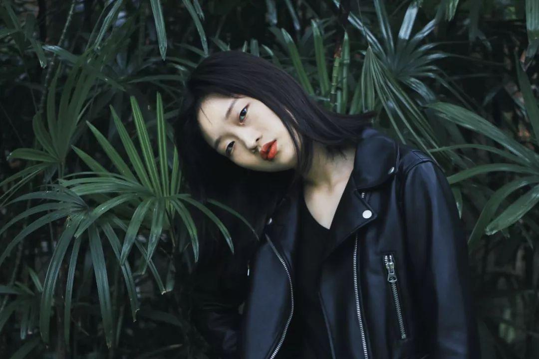 美妙森林找不同
