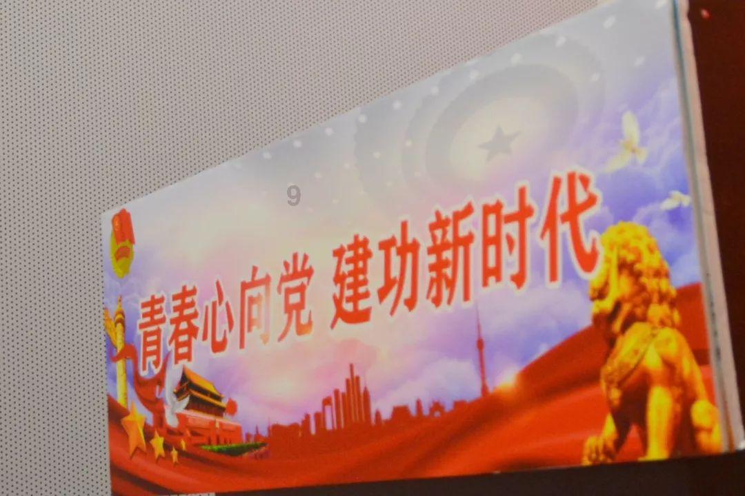 漂亮鹦鹉救援