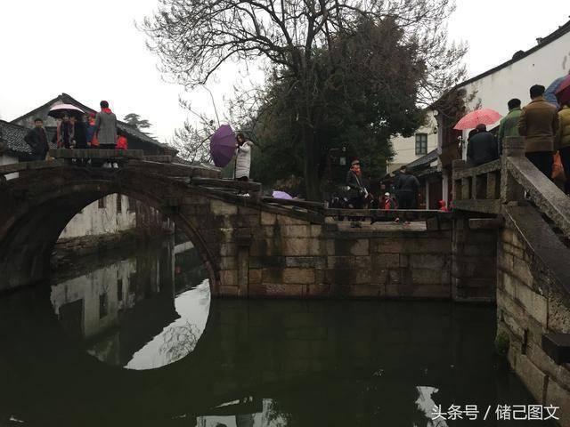 逃离野猫森林