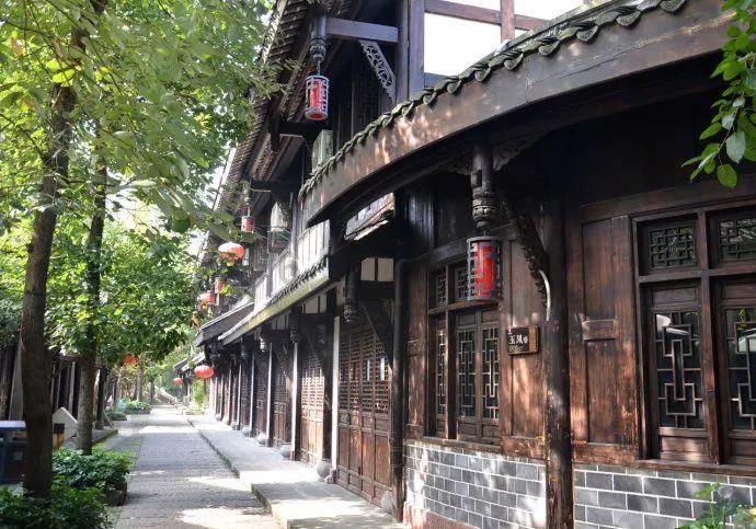 营救小乌龟