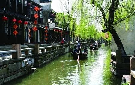 动物帮帮忙保卫家园